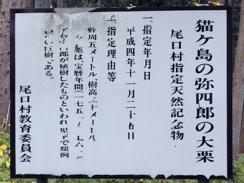 （写真６）猫ヶ島の弥四郎の大栗の説明板