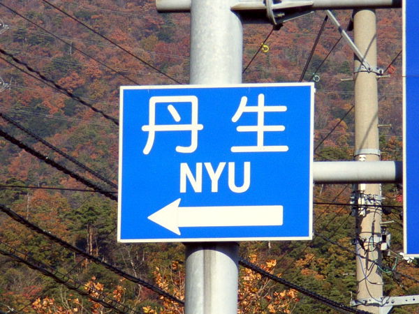 （写真）ローマ字で「NYU」