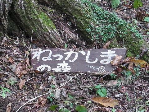 （写真５）「ねっかしまの森」の看板