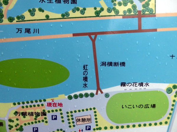 （写真１１・下）「十二町潟水郷公園」の案内図・拡大