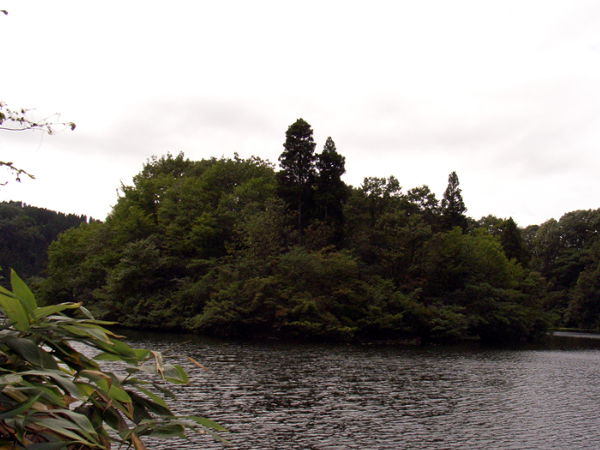 （写真７）子撫川ダム湖の島